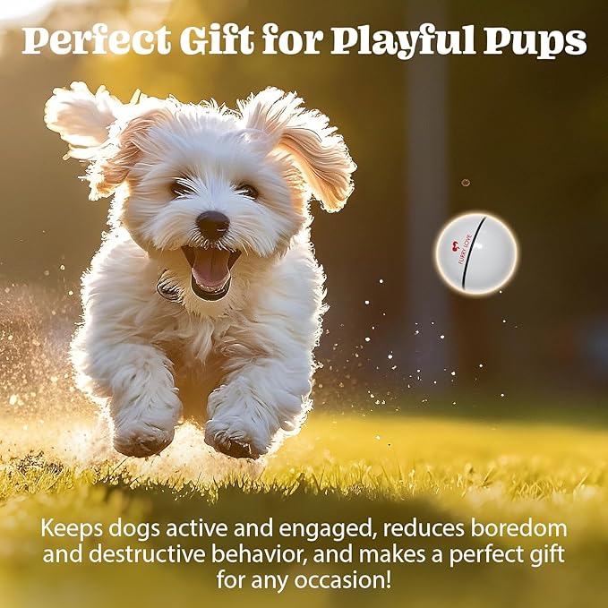 Wicked Ball - Smart Interactive Dog Ball for Solo Play - Electronic Self-Moving Dog Toys for Boredom - Rechargeable, Motion Activated - 35"-Mewly Pet