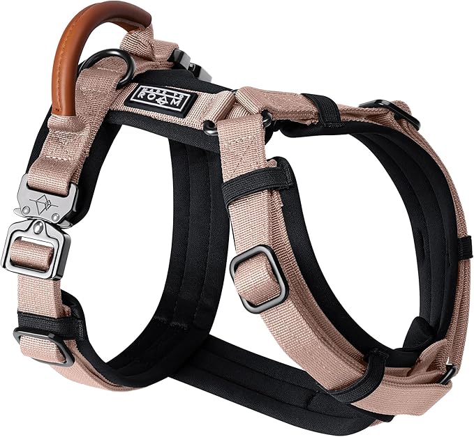 MADE TO ROAM Premium Explorer Harness - Y-Shaped Dog Harness with Adjustable Durable Nylon, Soft Padding, Metal Buckles and Leather Handle for Small, Medium, Large Dogs (Utah Glow, Size 6)-Mewly Pet