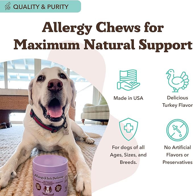 Natural Dog Company Allergy & Itch Defense Chews – Allergy Support for Dogs, Itch Relief, Skin, Coat & Gut Health with Probiotics, Colostrum & Salmon Oil, Grain-Free Dog Supplement, 90 ct-Mewly Pet