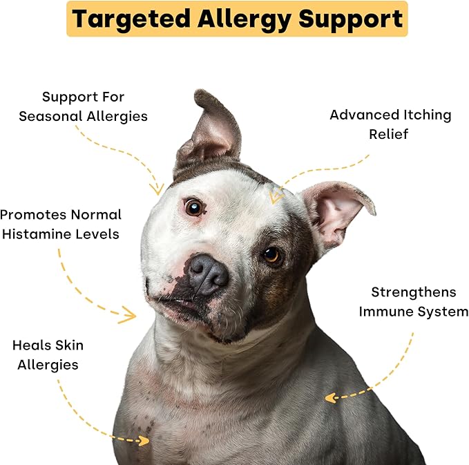 Kayode Itch & Allergy - Natural Dog Allergy Chews with Advanced Itch Relief. Premium Colostrum & Bee Pollen for Dog Allergies. Natural Alternative to Allergy Medicine-Mewly Pet