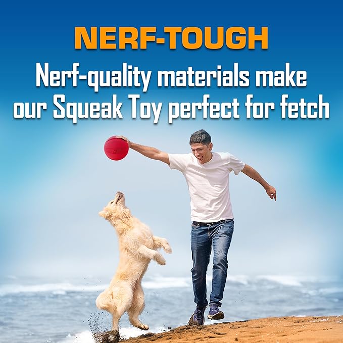 Nerf Dog Classic Squeak Ball Outdoor Dog Toys, 3.8 Inch Dog Ball Fetch Toy, Squeaking Toy for Medium and Large Breeds, Green/Red, 2 Count-Mewly Pet