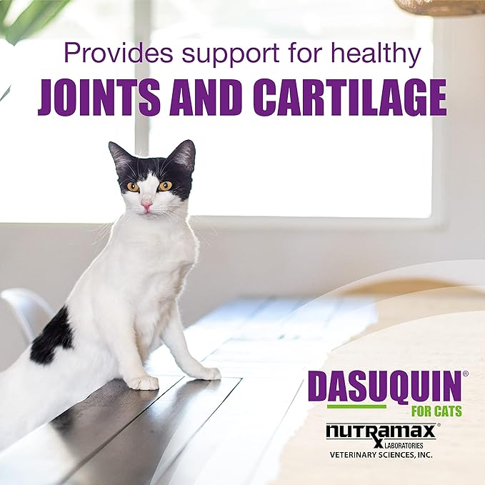 Nutramax Dasuquin Joint Health Supplement for Cats - With Glucosamine, Chondroitin, ASU, Boswellia Serrata Extract, Green Tea Extract, and Omega-3, 84 Soft Chews-Mewly Pet