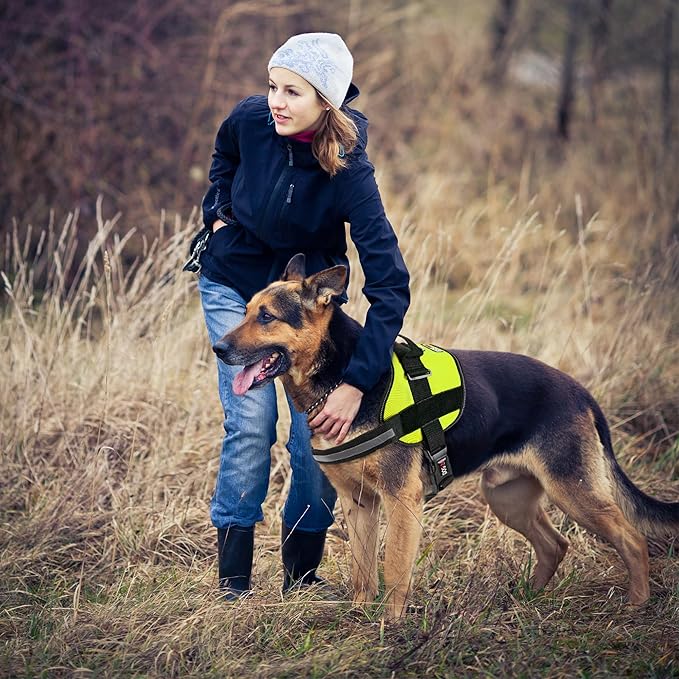 Dogline Dog Harness, Reflective No-Pull Adjustable Vest with Handle for Walking, Training, Breathable, No - Choke Harness for Small, Medium or Large Dogs Room for Patches Girth 18 to 24 in Lime Green-Mewly Pet