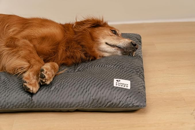 FUNNY FUZZY Washable Dog Bed,Reversible Plush Dog Crate Mat, Soft Fluffy Kennel Pad,Pet Sleeping Mattress for Jumbo,X-Large Sized Dogs Breeds,2XL,48"× 31",Grey-Mewly Pet