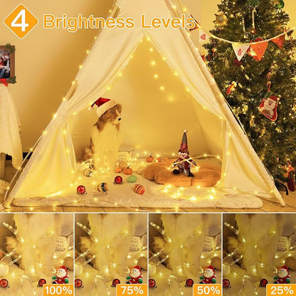 Ollny Rope Lights 33FT 100 LED, USB Power Warm White String Lights with Remote, 8 Modes IP68 Waterproof Timer Christmas Lights for Bedroom Indoor Wall Party Wedding Decor