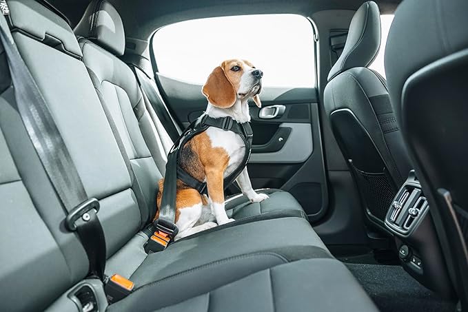Thule Cappy Dog Harness S - Crash-Tested for Safety - Seatbelt passthrough - Adjustable & Easy to Clean - Padded Breathable mesh Panels - Leash Loop - Step-in Design-Mewly Pet