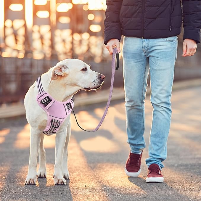 BUMBIN Dog Harness for Large Dogs, No Pull Adjustable No Choke Pet Vest with Dog Leash Fit Smart Reflective Pet Walking Harness for Training Easy Control Soft Handle Pink S-Mewly Pet