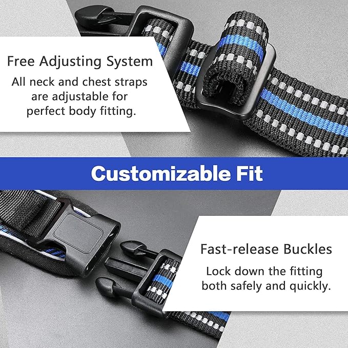 rabbitgoo Dog Harness No-Pull, Comfortable Padded Plaid Harness with Handle Easy Control, Adjustable Reflective Pet Vest with 2 Leash Clips for Small Dog, Blue Plaid, S-Mewly Pet