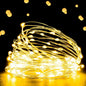 Ehome Fairy Lights, USB Operated Fairy Light Plug in 33ft 100 Led Waterproof String Lights Copper Wire Decorative String Light for Bedroom Indoor Christmas Wedding Party Patio Window