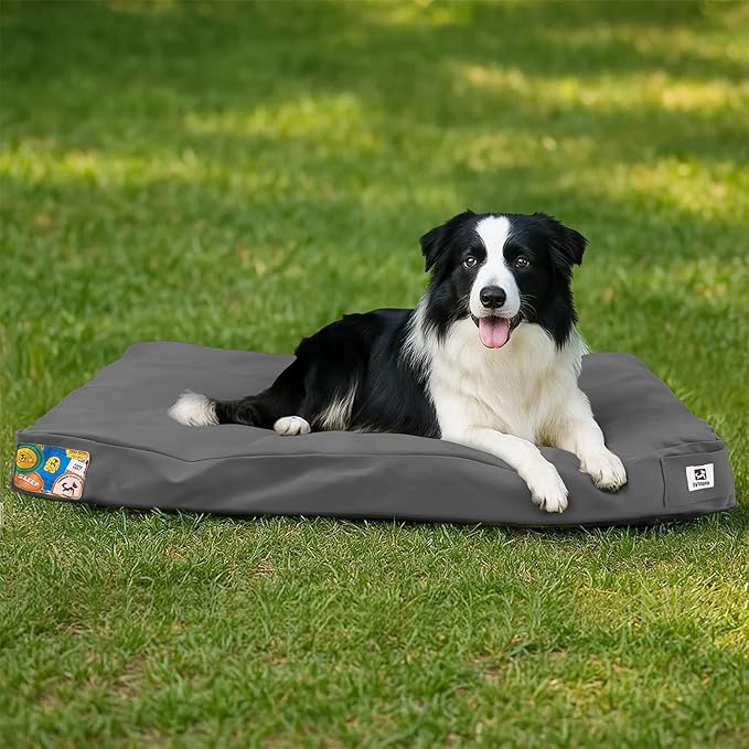 Sytopia 36-Inch Canvas Outdoor Dog Bed, Waterproof & Washable with Removable Cover, Ideal for Medium & Large Dogs, Chew-Proof Great for Indoor, Outdoor, Crate, or Patio Use (Dark Grey)-Mewly Pet