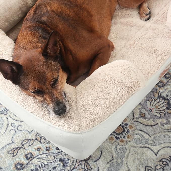 TOWN & COUNTRY EVERYDAY CuddleTown Comfy Solid Bolster Sofa Pet Bed, Supportive & Calming Egg Crate Foam, Non-Slip Bottom, Machine Washable Cover, Cream, Large 35"x25"x8"-Mewly Pet