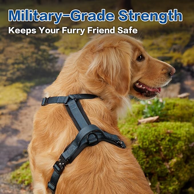 CLEPAWS Dog Harness for Medium Dogs, No Pull Dog Harness Easy Walk with Metal Hardware, Ergonomic Y-Shaped Design, Soft Padding, Padded Handle, Durable High-Tensile Nylon (Nightfall, M)-Mewly Pet