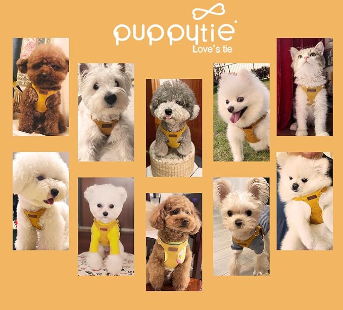 Puppytie No Pull Dog Harness with Multifunction Dog Leash,Soft Adjustable No Choke Escape Proof Pet Harness Vest for Medium Dogs or Large Dogs,Yellow,M-Mewly Pet