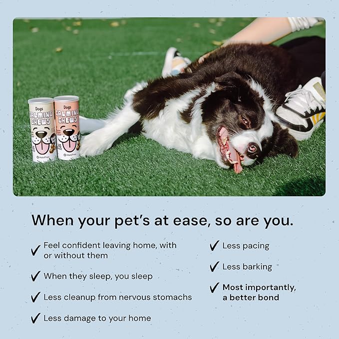 MalsiPree Calming Chews for Dogs - 145 pcs Salmon - Helps Regulate Mood - Anxiety Relief Treats - No Sedative Effect - Freeze Dried - with Passion Flower & Melatonin-Mewly Pet