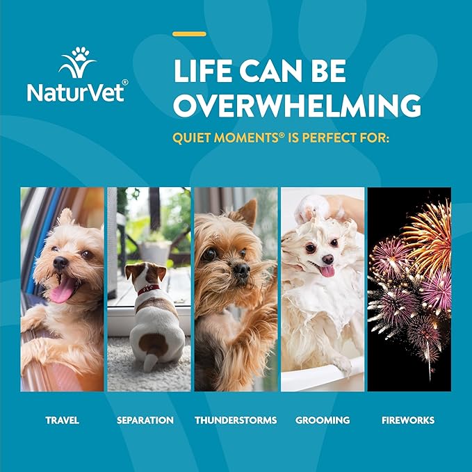 NaturVet Quiet Moments Calming Dog Supplement, Dog Soft Chews with Melatonin to Help Reduce Stress from Storms, the Vet, Fireworks, and Travel, Bacon and Chicken Flavored Pet Supplement, 180 Count Jar-Mewly Pet