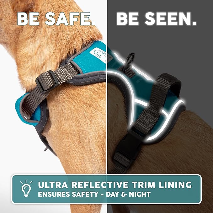 Embark Adventure Dog Harness, Easy On and Off with Front and Back Leash Attachment Points & Control Handle - No Pull Training, Size Adjustable and No Choke (Small - Teal Blue)-Mewly Pet