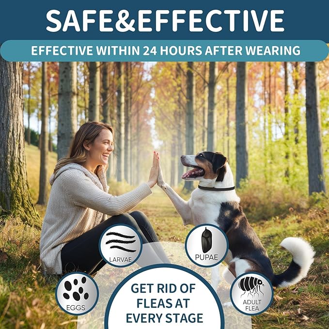 Flea and Tick Collar for Dogs 4 Pack, 32 Months Prevention, Waterproof, Adjustable for Small Medium Large Dogs Puppies (Black and Grey)-Mewly Pet