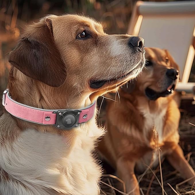 AirTag Dog Collar - Leather Dog Collar with Air Tag Holder | IPX8 Waterproof, Reflective, High - End, Adjustable Soft Padded | Dog GPS Tracker Collars Fit for Medium Large Dogs (Pink, L)-Mewly Pet