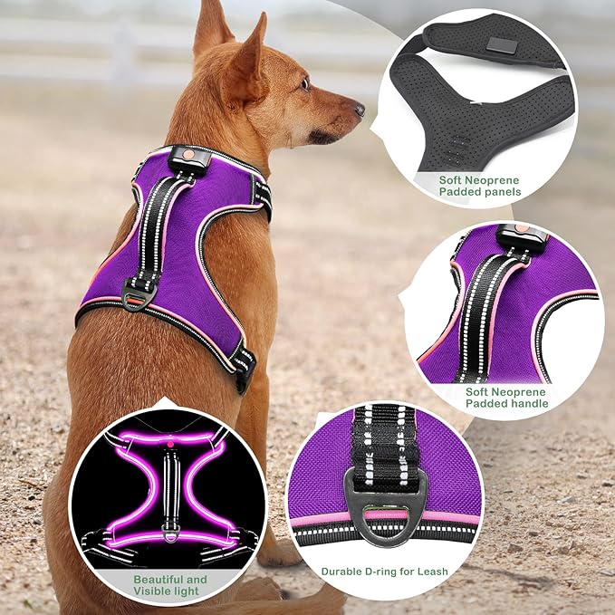 Light Up Dog Harness, No Pull LED Dog Harness with Handle, Rechargeable Lighted Safety Vest for Small Medium Large Dogs, Adjustable Soft Dog Lights for Night Walking-Mewly Pet