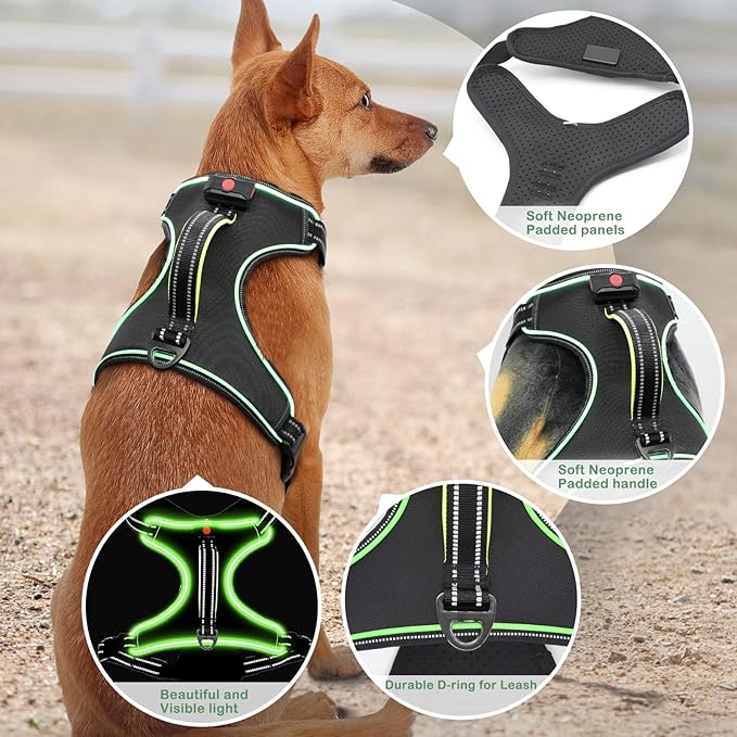 Rechargeable LED Dog Harness - No Pull, 4 Point Adjustable, Small/Medium/Large/X-Large Sizes-Mewly Pet