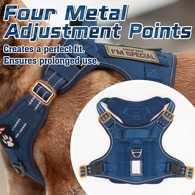 rabbitgoo Dog Harness No Pull, Military Dog Harness Medium Sized Dog with Handle & Molle, Easy Control Service Dog Vest Harness Training Walking, Adjustable Reflective Tactical Pet Harness, Blue, M-Mewly Pet