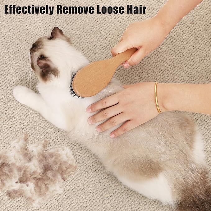 Boar Bristle Cat Brush with Wooden Handle, Soft and Gentle, Reduce Shedding, Make Coat Soft, Smooth and Shinny, Daily Grooming Tool for Short Haired Cats, Kitten-Mewly Pet