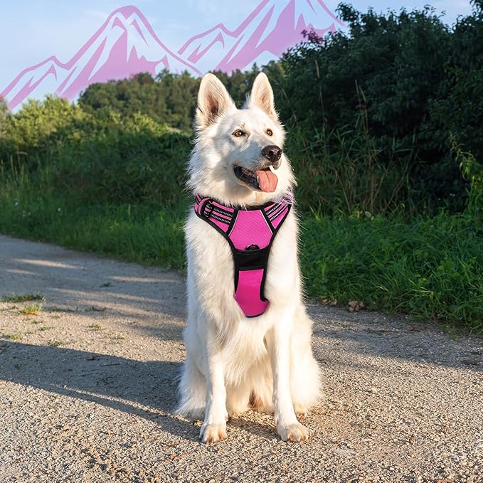 Eagloo Dog Harness Large Breed, No Pull Service Vest with Reflective Strips and Control Handle, Adjustable and Comfortable for Easy Walking, No Choke Pet Harness with 2 Metal Rings, Rose Red, XL-Mewly Pet