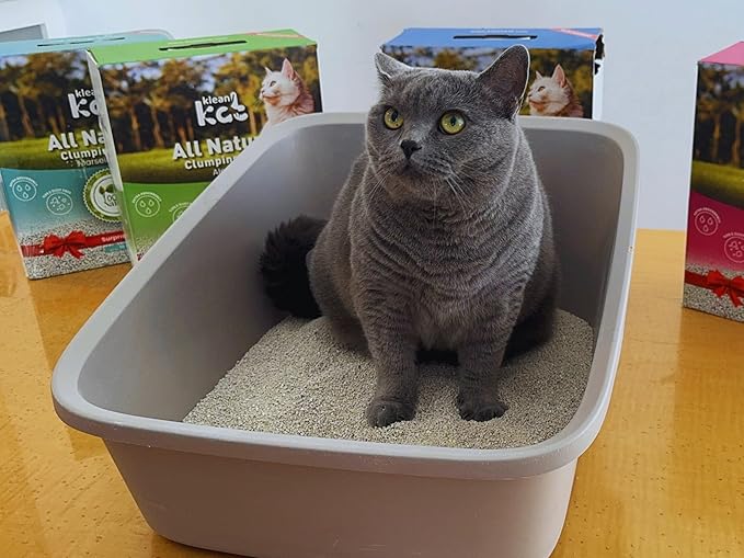 All Natural Clumping Cat Litter – Multiple Scents – Low Dust, Odor Control – Unscented 18 lb - Surprise Toy Inside-Mewly Pet