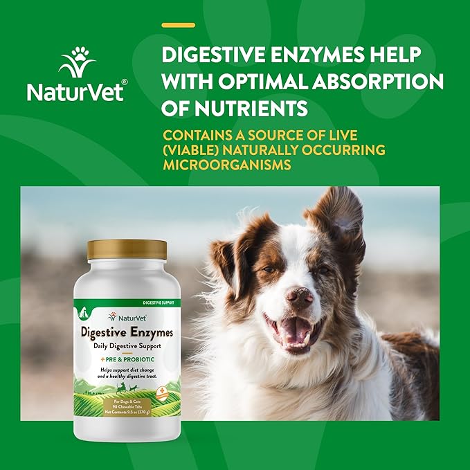NaturVet Digestive Enzymes Plus Probiotics Supplement for Dogs, Soft Chews, Made in The USA with Globally Source Ingredients 90 Count-Mewly Pet