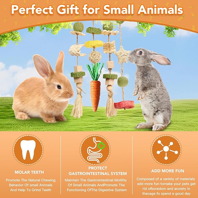 Rabbit Chew Toys Bunny Cage Hanging Toy and Treats Rattan Ring with Snacks for Rodent Pets Teeth Healthy-Mewly Pet