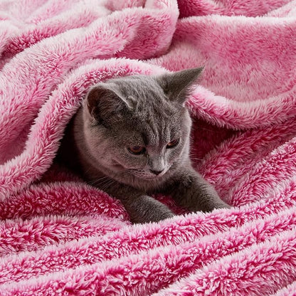 Exclusivo Mezcla Plush Fuzzy Fleece Throw Blanket Extra Large, Super Soft, Fluffy and Warm Blankets for Couch, Bed, Suitable for All Seasons (50x70 Inches, Mixed Hot Pink)