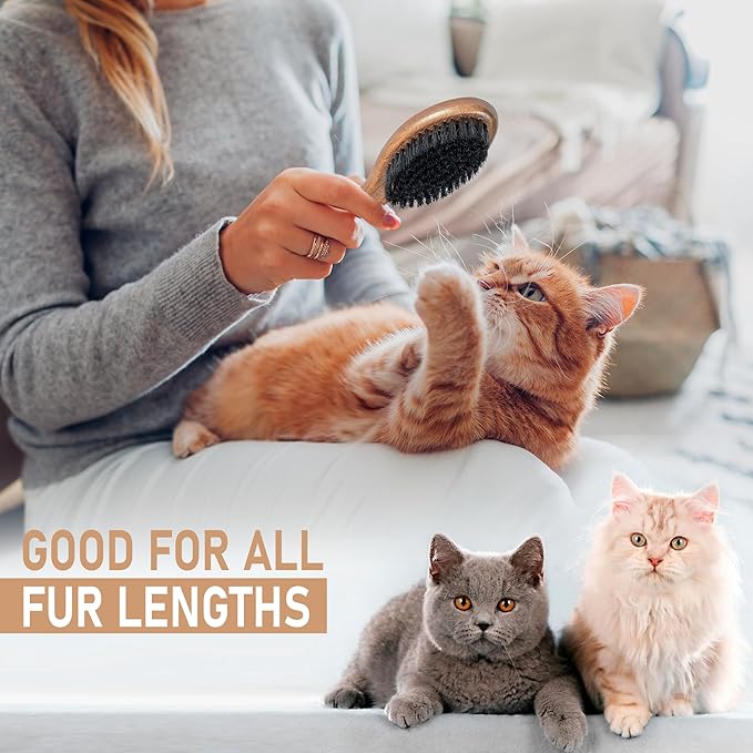 Takavu Boar Bristle Cat Hair Brush, Gentle Grooming Brush with Natural Bristles and Wooden Handle for Sensitive Skin, Pet Cleaning Supplies Keeping Your Cat's Fur Hair Coat Healthy and Shiny-Mewly Pet