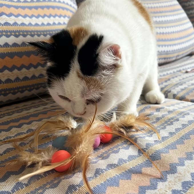 Cat Toy Balls, 5 PCS Colorful Feather Bouncy Balls for Cats No Noise Interactive Kitten Toys Cat Exercise Ball, Safe for Your Kitty (A)-Mewly Pet