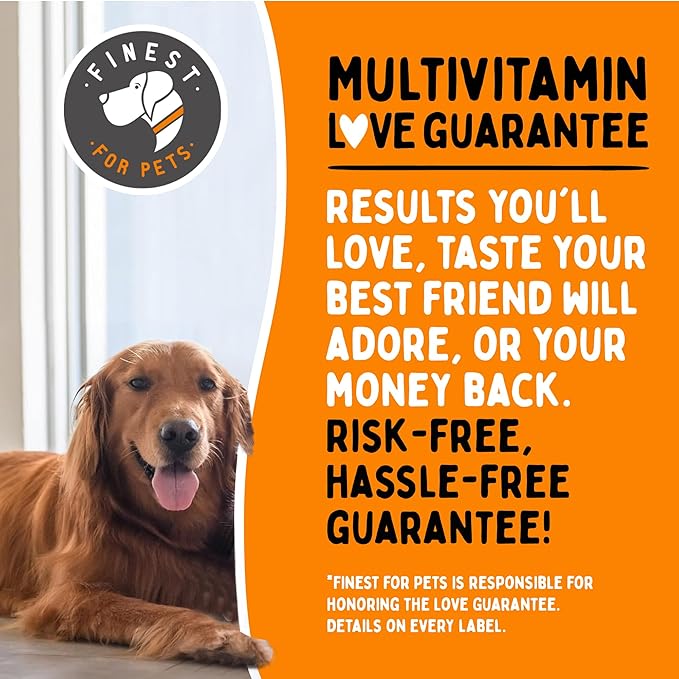 Multivitamin Dog Supplement – 10 in 1 with Omega Fish Oil & Glucosamine for Improved Joint & Skin Support, Gut, Digestion & Immune Everyday Health (120 Chewable Treats)-Mewly Pet