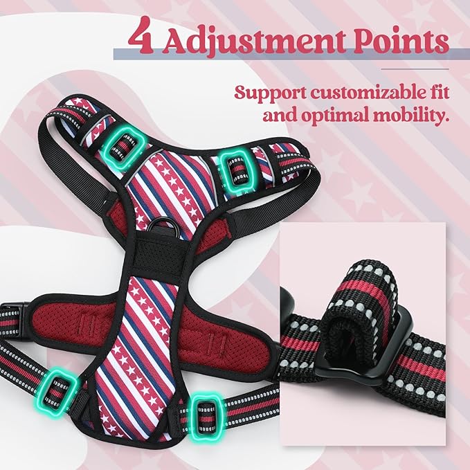 rabbitgoo Dog Harness No Pull with 2 Leash Clips, Adjustable Soft Padded, Reflective Oxford No Choke Pet Vest with Easy Control Handle for Large Dogs, Red Stripe, L-Mewly Pet