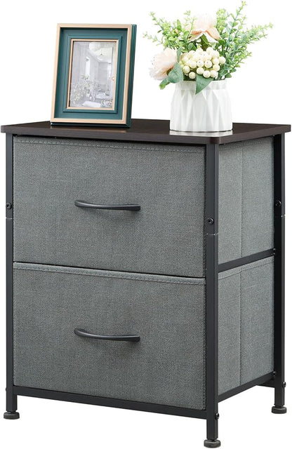 Somdot Nightstand Set of 2, Small Dresser for Bedroom with 2 Drawers, Bedside Table Night Stand End Table with Fabric Bins for Bedroom Kids Closet Dorm Guest Room, Charcoal Grey