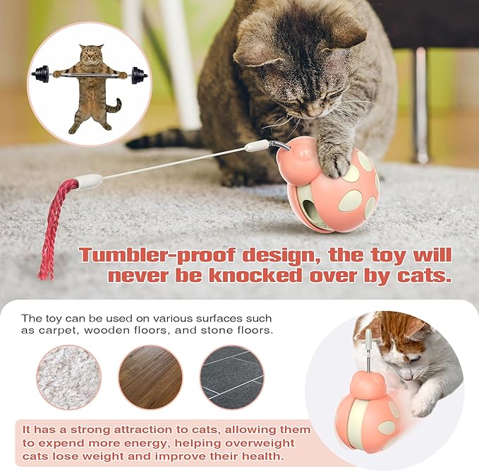 Cat Treat Interactive Toy, Indoor Puzzle Slow Feeding Mental Stimulation Sliding Rolling Cat Toy Ball with Ca-t Teaser, Cats Treat Dispenser Toy for Large, Medium and Small Cats (Pink, ladybug)-Mewly Pet