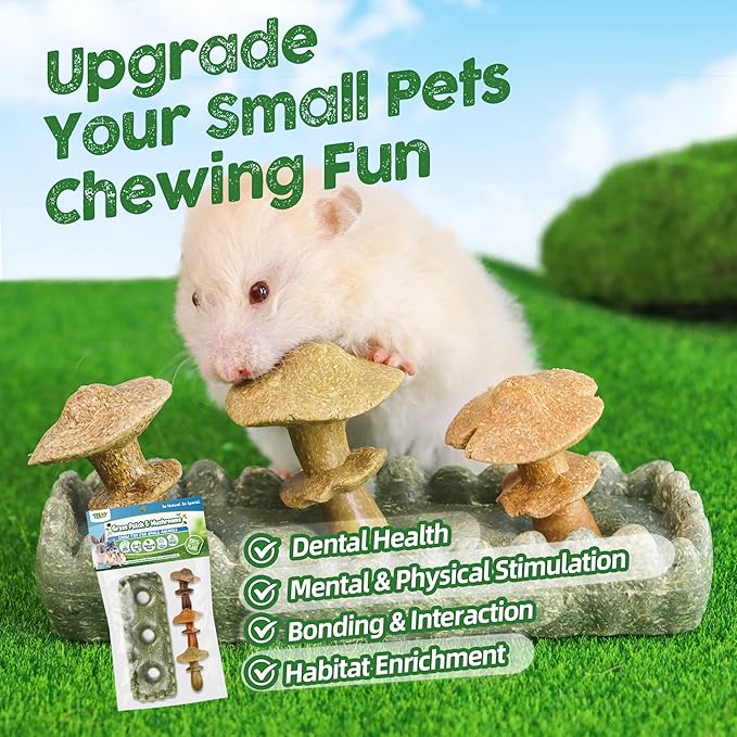 TEEWY 4PCS Guinea Pig Chew Toys, Prevent Teeth Overgrowth, Natural Vegetables and Timothy Grass, Hamster Chew Toys, Guinea Pig Toys, Chinchilla Toys, Grass Patch & Mushrooms-Mewly Pet