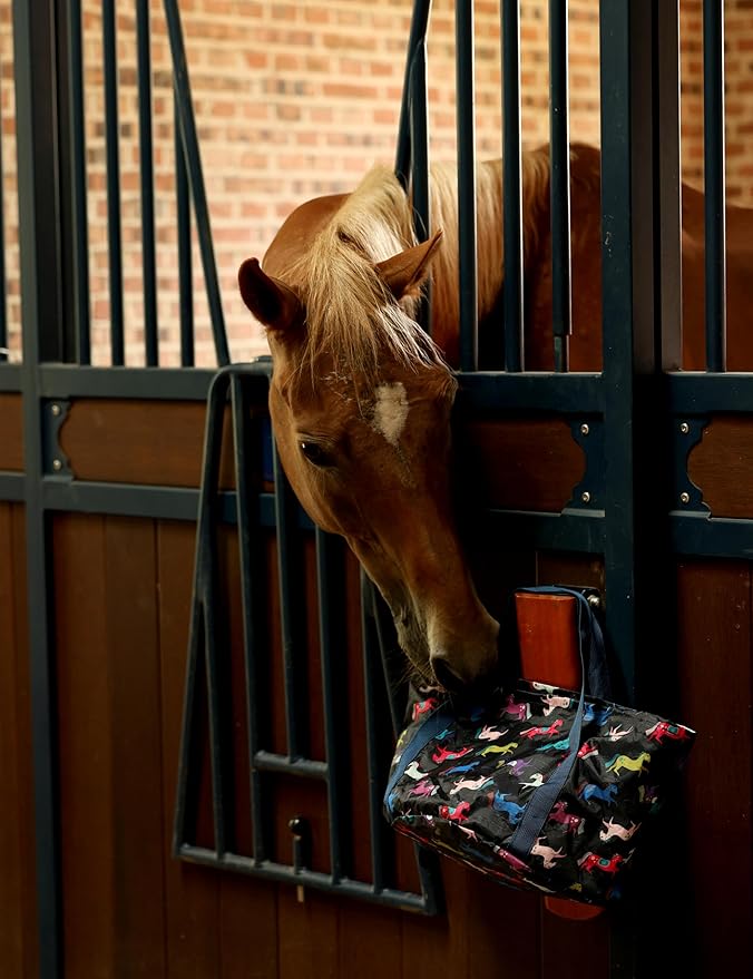 Harrison Howard Horse Grooming Kit 11-Piece Equine Care Series Horse Brush Sets with Organizer Tote Bag Tack Room Supplies Shedding Grooming Massaging Tools Black Brushstroke Ponies-Mewly Pet