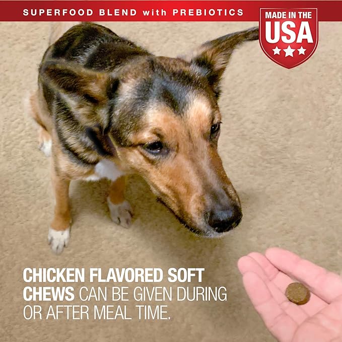 VetIQ Multivitamin Supplement for Dogs, Health Support Supplement Soft Chews, 90 Count-Mewly Pet