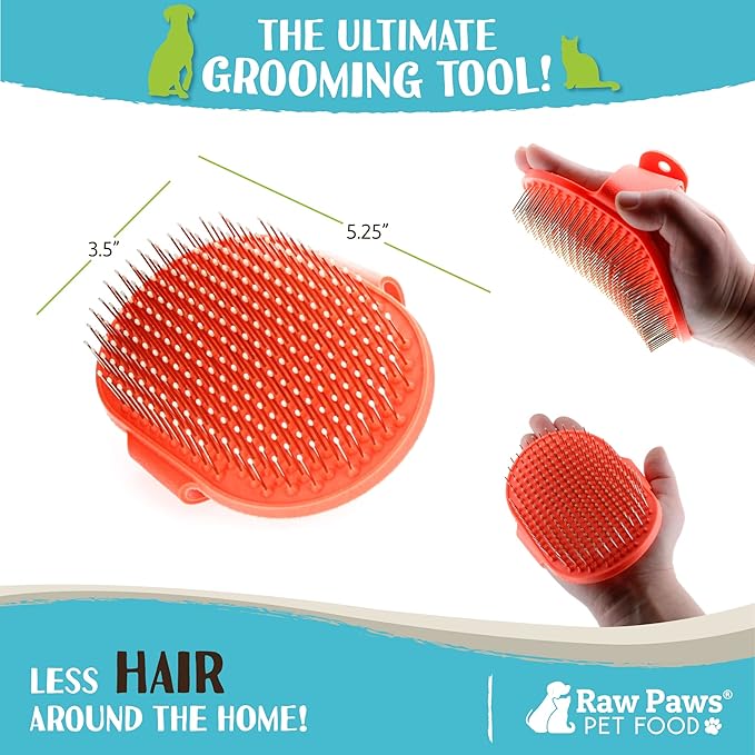 Raw Paws Grooming Brush, 1 ct - Hand-Held Rubber Tipped Pin Brush for Dogs & Cats - Deshedding Dogs with Short Hair & Long Hair - Dog Grooming-Mewly Pet