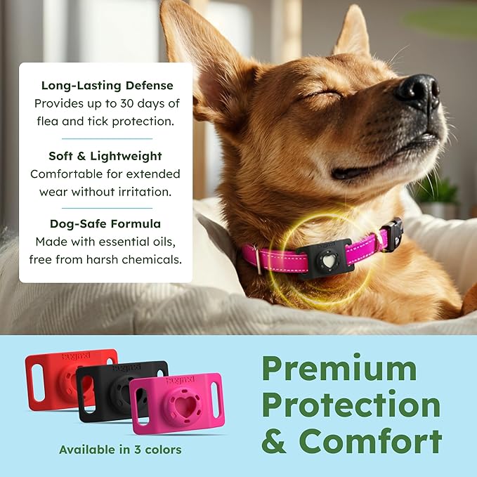 BugMD Paw Guardian Flea & Tick Pendant (3-Pack) with AirTag Holder – Plant-Based Flea & Tick Prevention for Dogs – Pet Collar Tag & GPS Tracker Holder for Dogs – Black-Mewly Pet