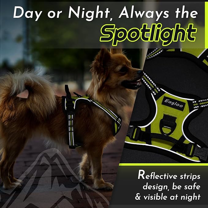 Eagloo Small Dog Harness No Pull, Service Vest with Reflective Strips and Control Handle, Adjustable and Comfortable for Walking, No Choke Pet Harness with 2 Metal Rings, Green, XS-Mewly Pet