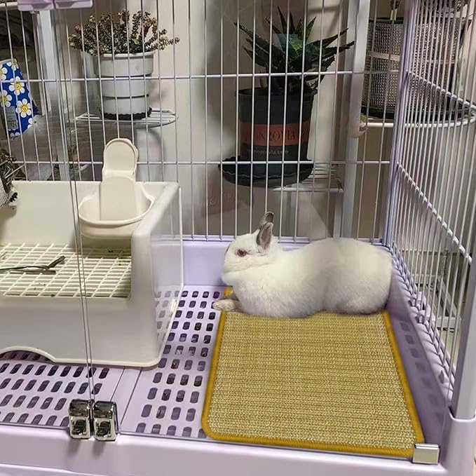 DYAUS Bunny Scratch Pad, Natural Sisal Rabbit Scratching Mat for Claws and Teeth Care, Indoor Bunny Chew Toys Bunny Bed for Biting Sleeping Nesting (1PC, 16x12in)-Mewly Pet