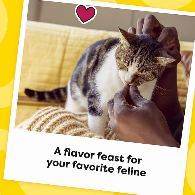 Temptations MixUps Surfer's Delight Flavor Crunchy and Soft Cat Treats, 16 oz. Tub-Mewly Pet