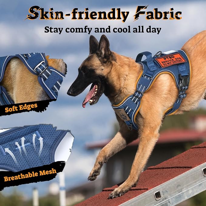 rabbitgoo Dog Harness Medium Sized No Pull, Tactical Service Pet Vest with Molle and Control Handle, Adjustable and Reflective Military Harness for Easy Walking and Training, Blue, M-Mewly Pet
