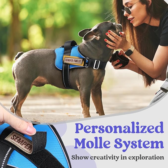 rabbitgoo Dog Harness Medium Sized, Easy On Pet Vest with One Buckle, No Pull Adjustable Service Harness with D-Ring & Handle, Reflective for Safety Walking, Training, Blue, M-Mewly Pet