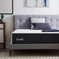 Lucid 14 Inch Memory Foam Mattress - Medium Plush Feel - Infused with Refreshing Bamboo Charcoal and Cooling Gel - Bed in a Box - Temperature Regulating, Pressure Relief - Breathable - California King