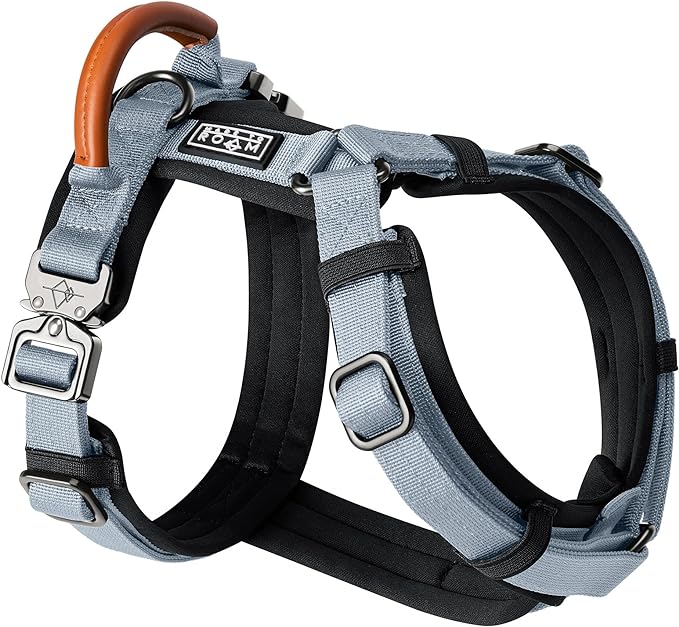 MADE TO ROAM Premium Explorer Harness - Y-Shaped Dog Harness with Adjustable Durable Nylon, Soft Padding, Metal Buckles and Leather Handle for Small, Medium, Large Dogs (Virginia Mountains, Size 3)-Mewly Pet