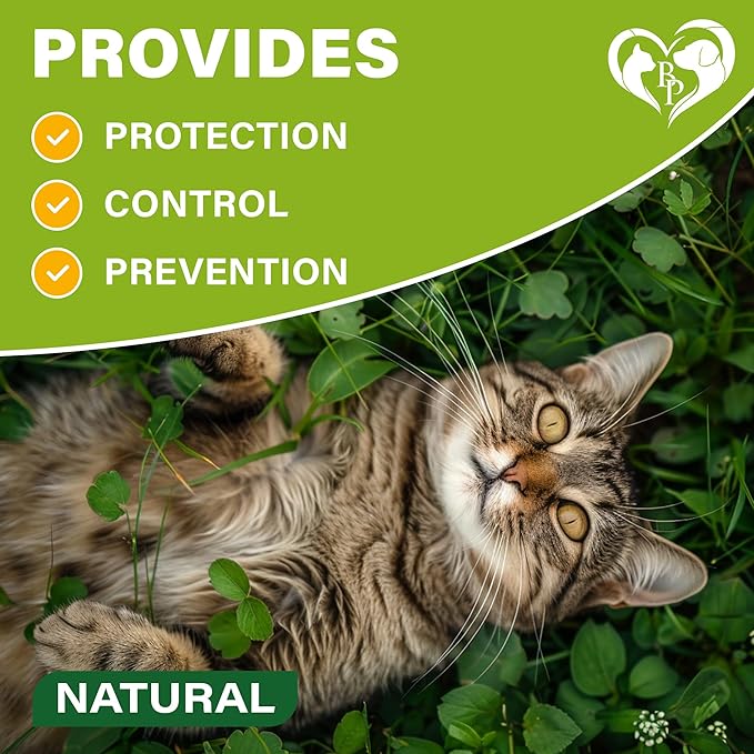 Natural Flea & Tick Collar for Cats - 12 Months Control of Best Prevention & Safe Treatment - Anti Fleas and Ticks Essential Oil Repellent (2 Pack)-Mewly Pet